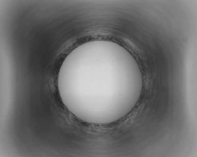 X0000112210774200908071302