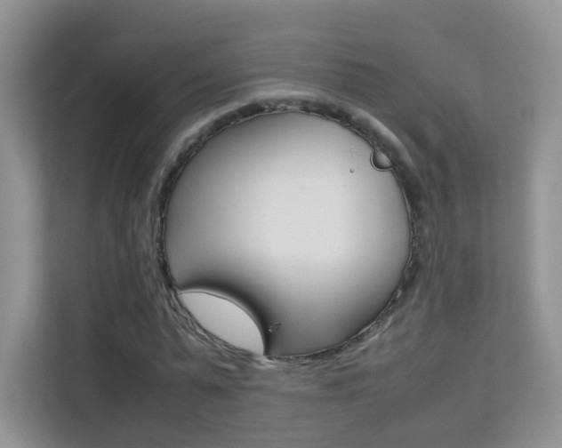 X0000112210775200908071302