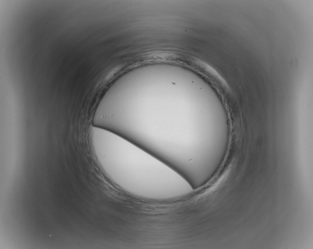 X0000112210777200908071302