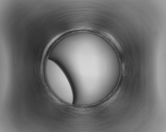 X0000112210780200908071302