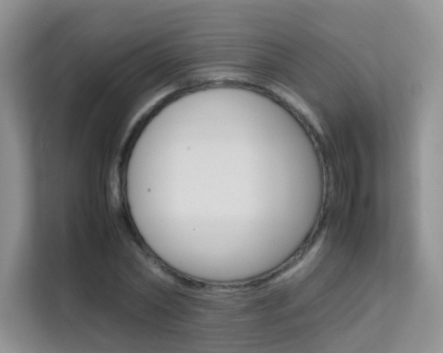 X0000112210782200908071302
