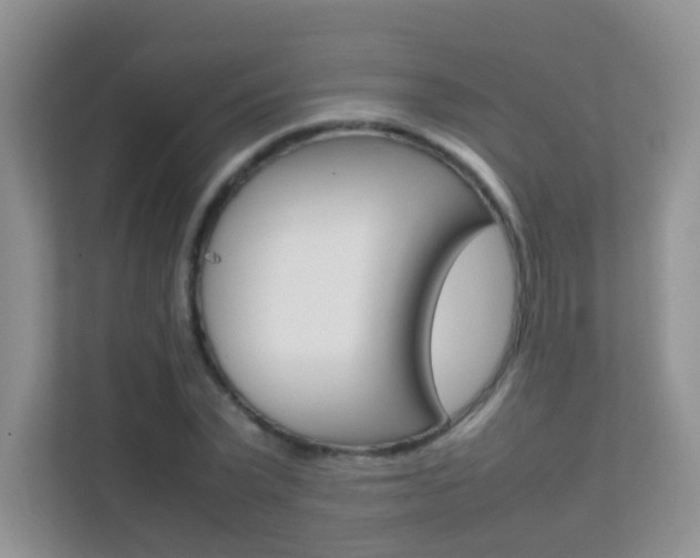 X0000112210783200908071302
