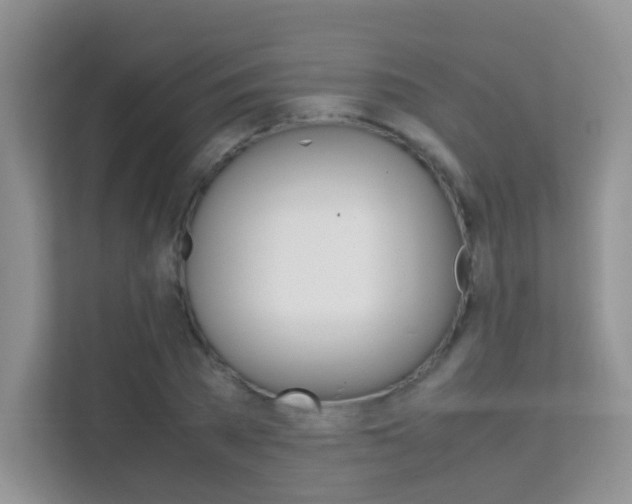 X0000112210785200908071302