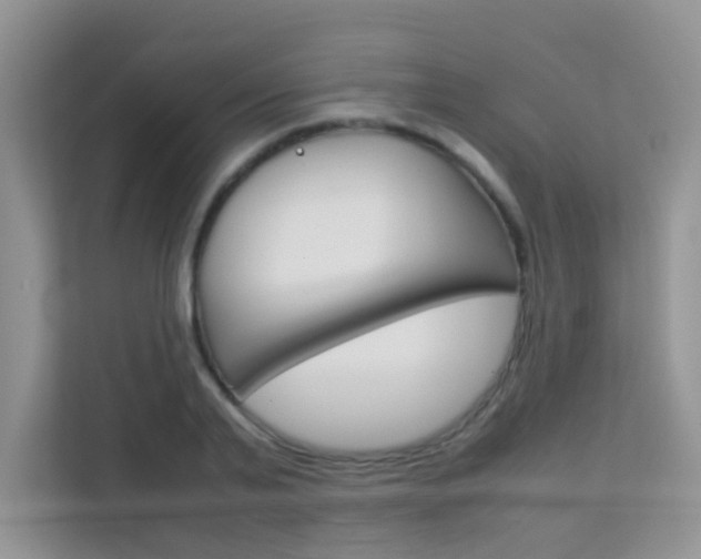 X0000112210791200908071302