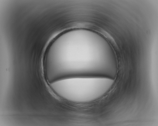 X0000112210792200908071302