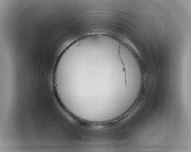 X0000112210794200908071302