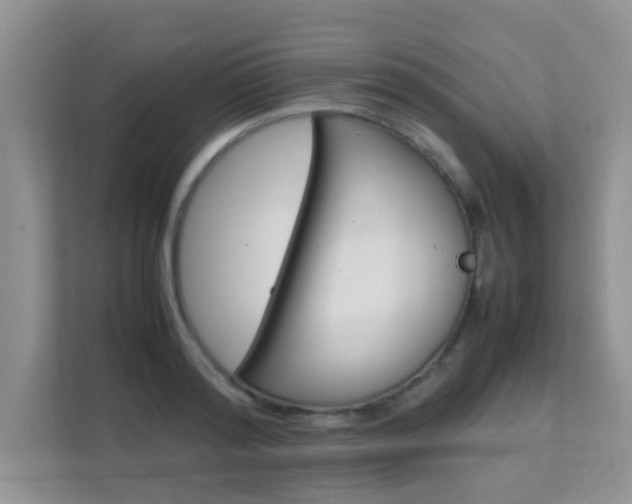 X0000112210796200908071302