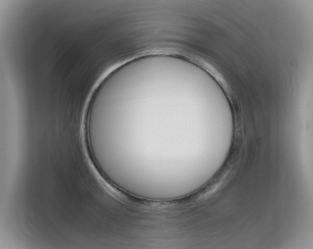 X0000112210803200908071302