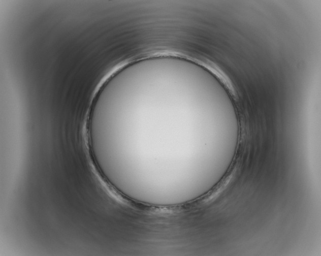 X0000112210806200908071302