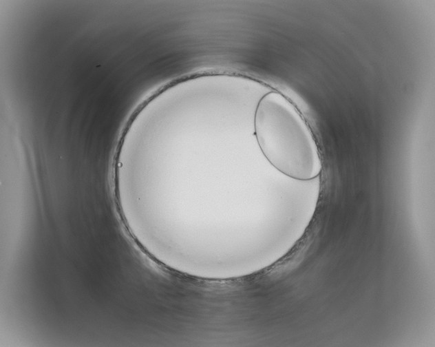 X0000112210807200908071302