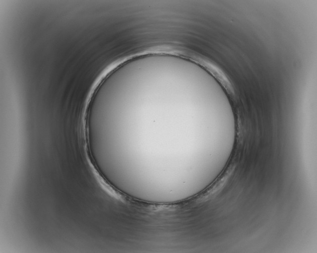 X0000112210808200908071302