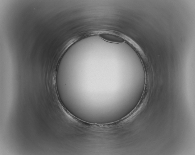 X0000112210809200908071302