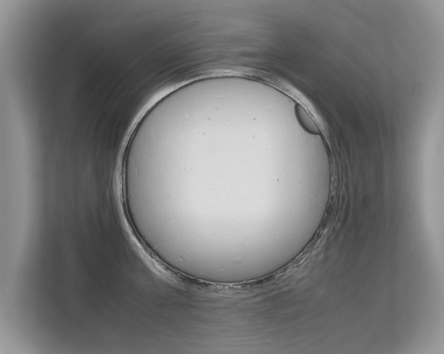 X0000112210811200908071302