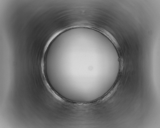 X0000112210812200908071302