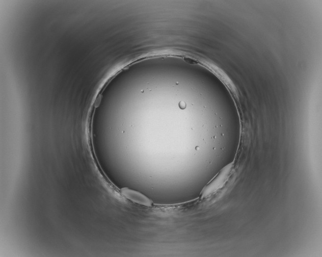 X0000112210813200908071302