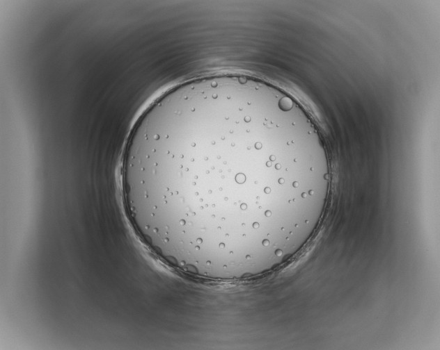 X0000112210814200908071302
