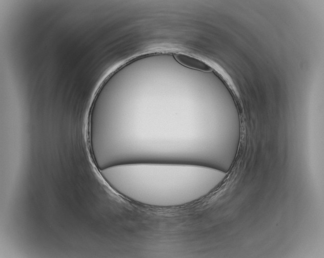 X0000112210815200908071302