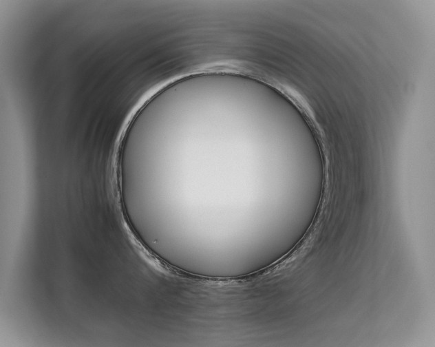 X0000112210816200908071301
