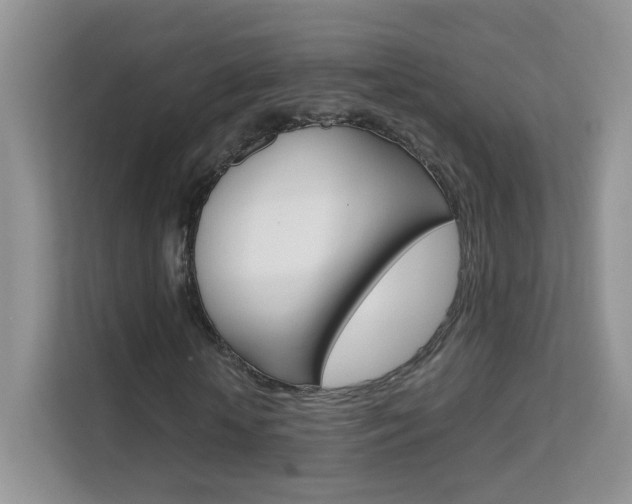 X0000112210818200908071301