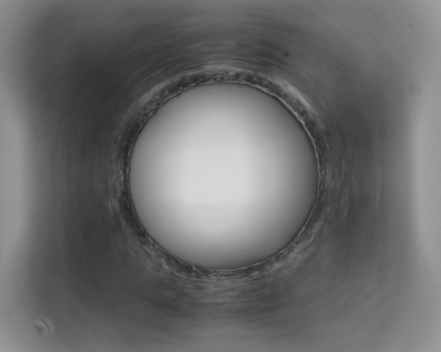 X0000112210821200908071301