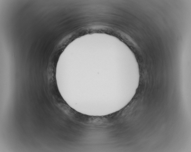 X0000112210824200908071301