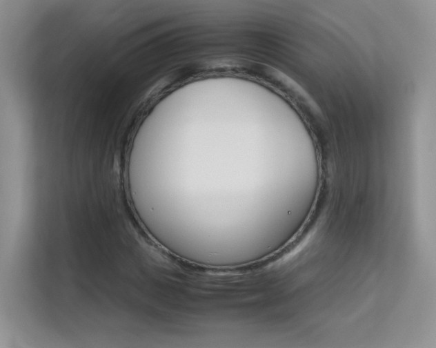 X0000112210825200908071301