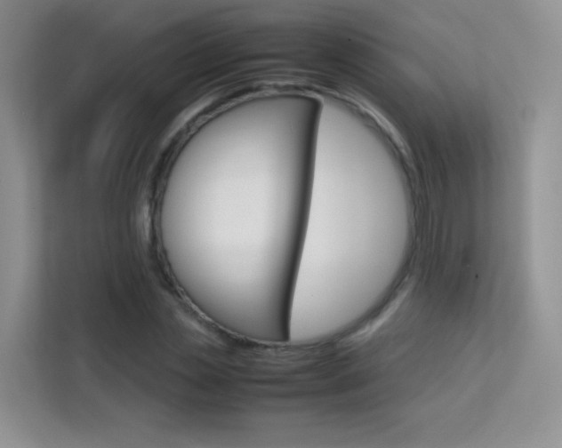X0000112210829200908071301