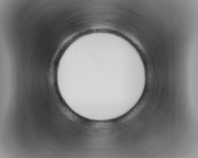 X0000112210832200908071301