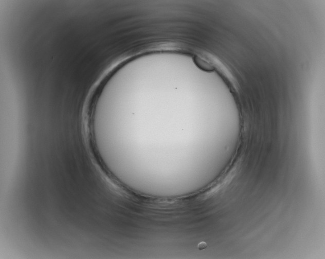 X0000112210835200908071301