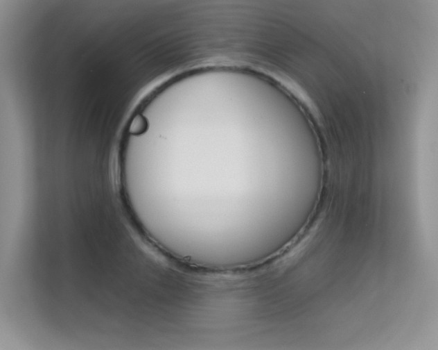 X0000112210838200908071301