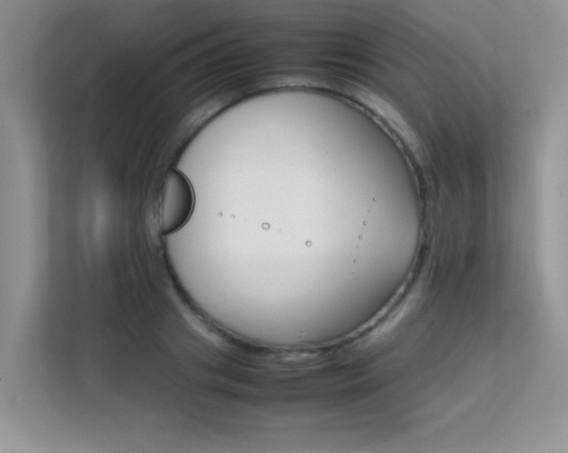 X0000112210841200908071301