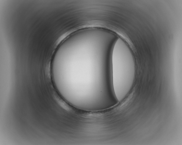 X0000112210842200908071301