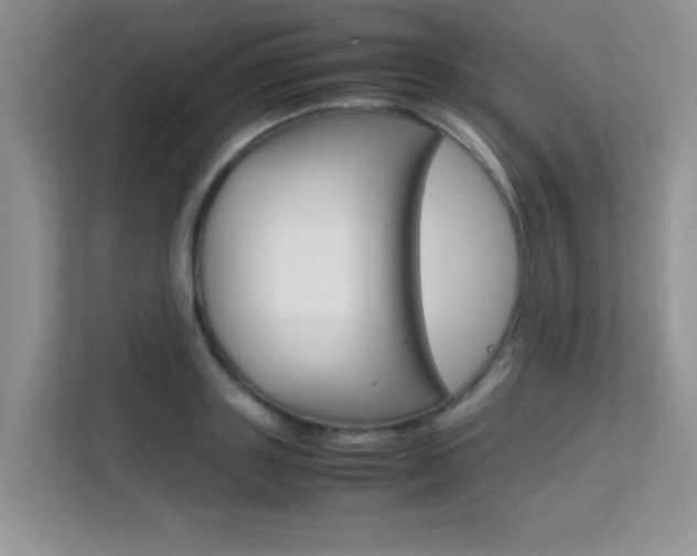 X0000112210843200908071301