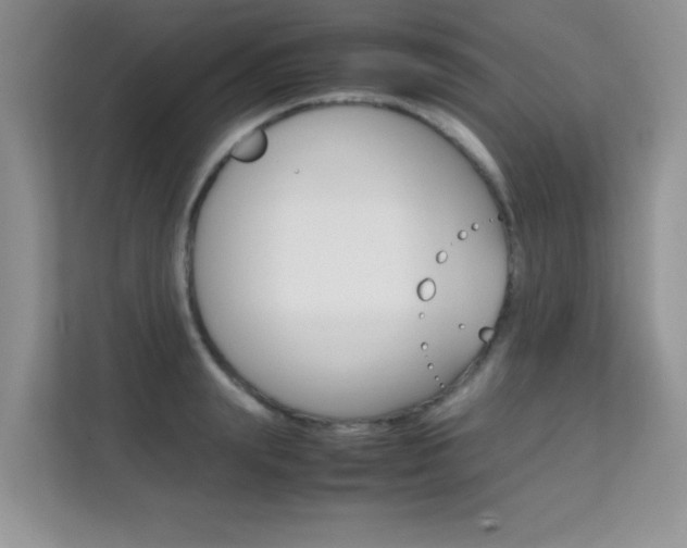X0000112210847200908071301