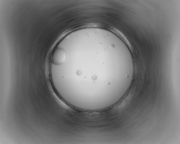 X0000112210851200908071301