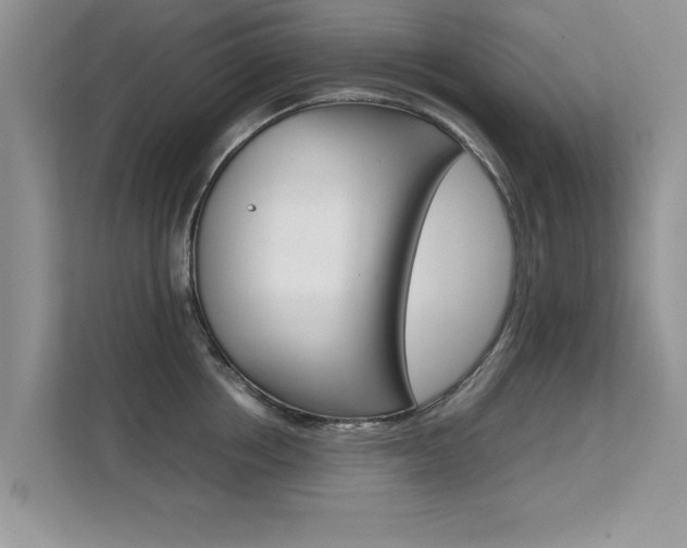 X0000112210858200908071301