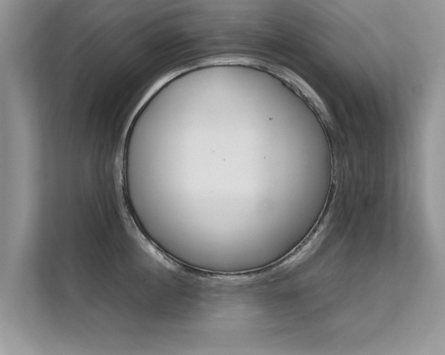 X0000112210860200908071301