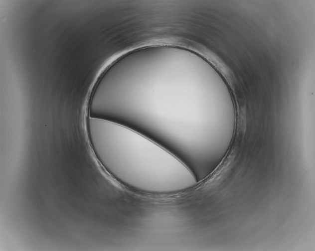 X0000112210862200908071301