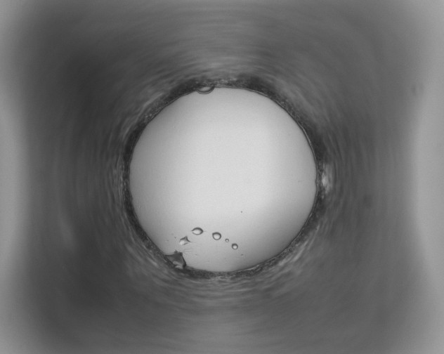 X0000112210867200908071301