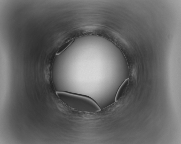 X0000112210868200908071301