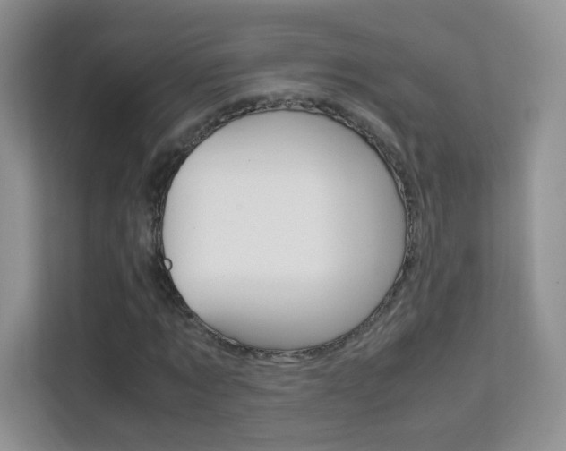 X0000112210869200908071301