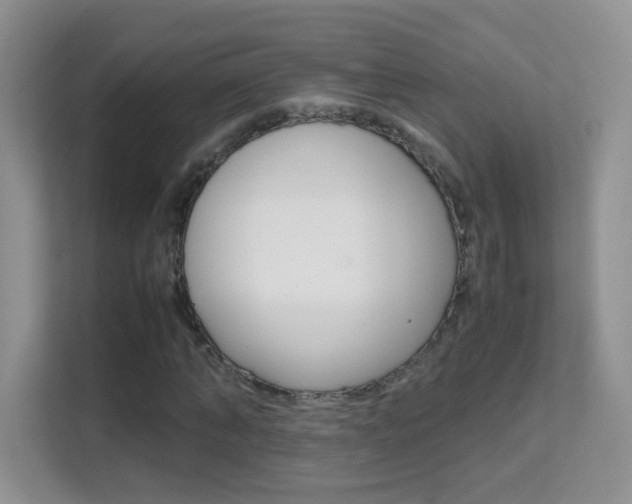 X0000112210870200908071301