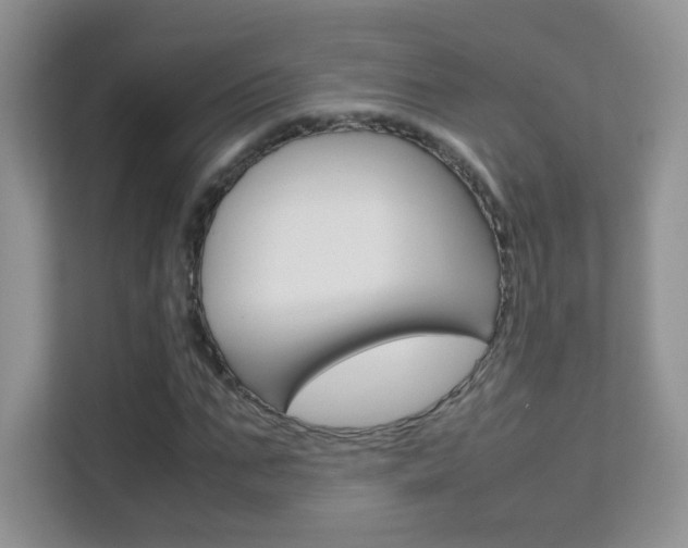 X0000112210871200908071301
