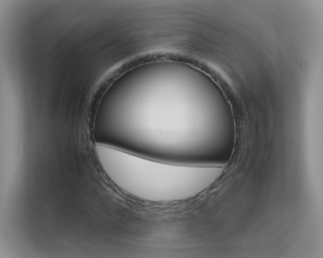X0000112210872200908071301