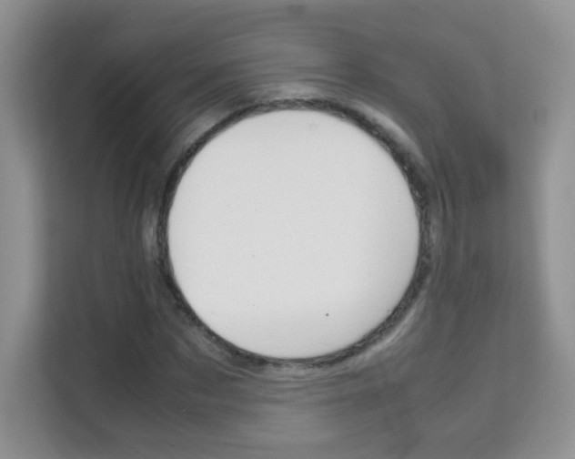 X0000112210873200908071301