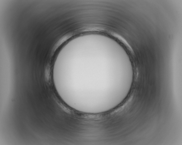 X0000112210874200908071301