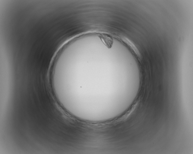 X0000112210876200908071301