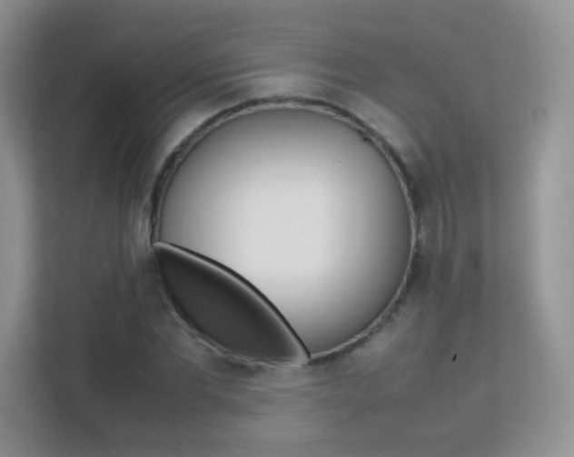 X0000112210877200908071301