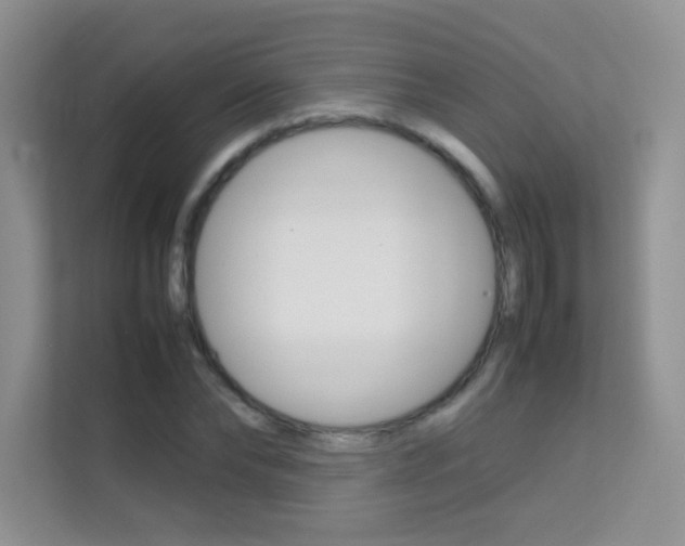 X0000112210878200908071301