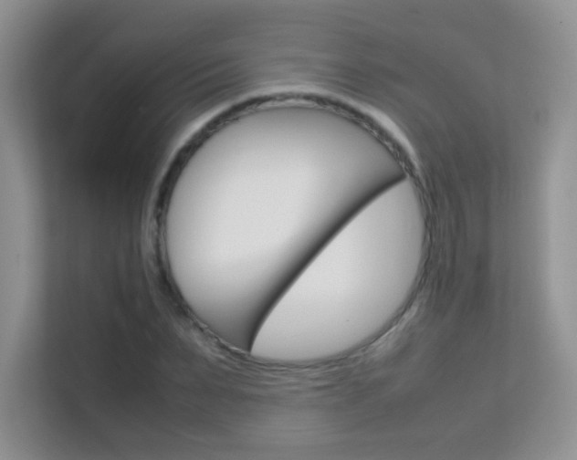 X0000112210879200908071301